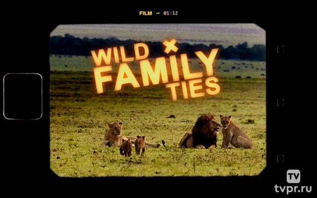 Природные семейные узы