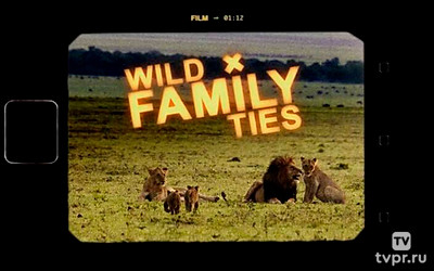 Крепкие семейные узы