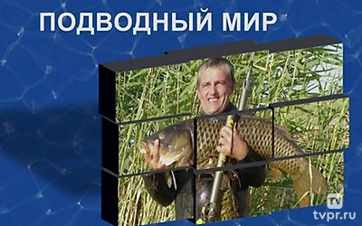 Подводный мир