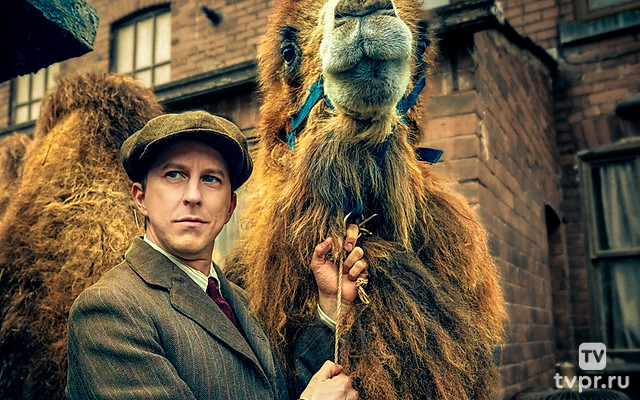 Наш зоопарк