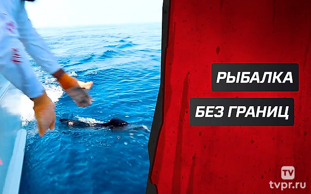 Рыбалка без границ