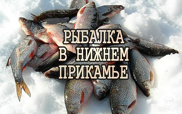 Рыбалка в Нижнем Прикамье