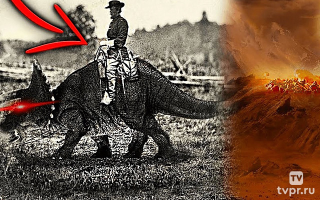 Главная тайна Австралии! Что прячут за забором от людей?