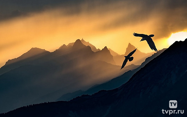 Полет к вершине