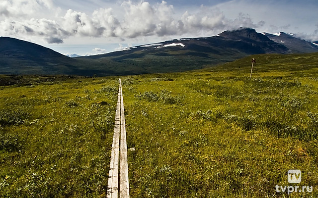 Две подруги на тропе