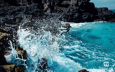 Горячая кровь