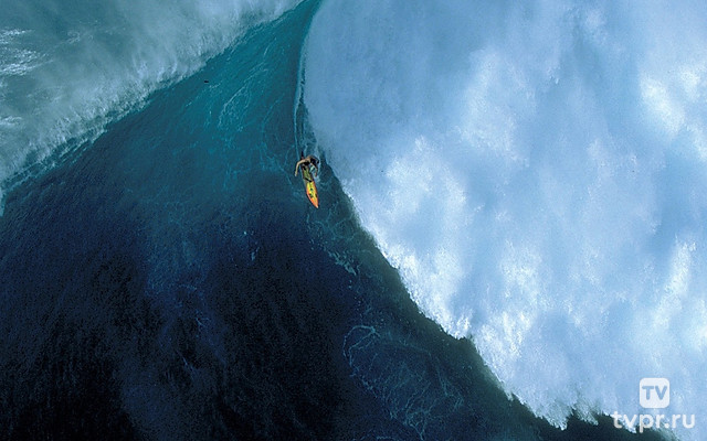 На ураганных волнах