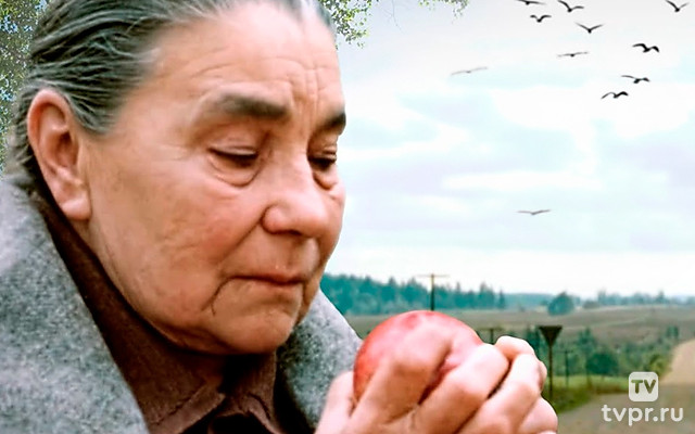 Деревья на асфальте