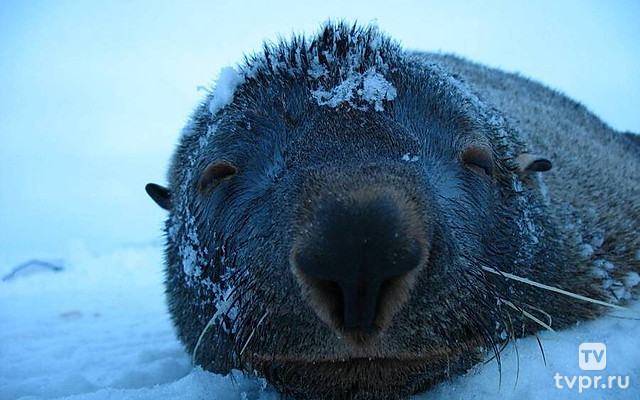 Станция «Восток». На пороге жизни