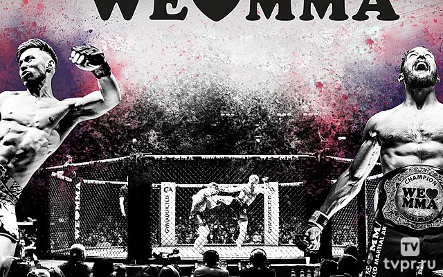 Мы любим MMA