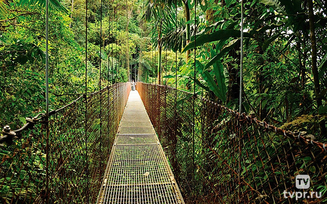 Приключения в джунглях Коста-Рики
