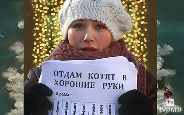 Отдам котят в хорошие руки