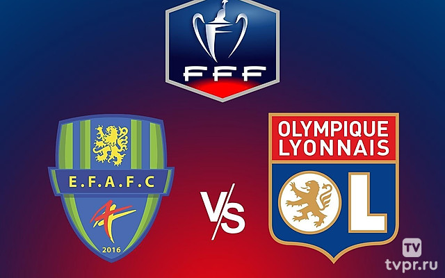 Футбол. Кубок Франции. Феньи Ольнуа - Лион