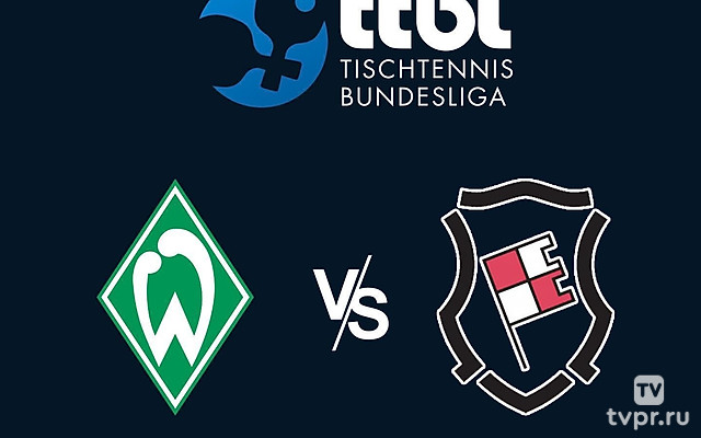 Настольный теннис Бундеслига. Регулярный сезон 2024/25. 9 тур. Вердер Бремен - Бад Кёнигсхофен
