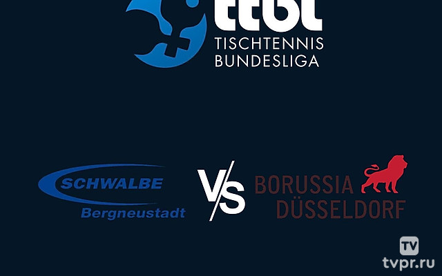 Настольный теннис Бундеслига. Регулярный сезон 2024/25. 9 тур. Швальбе Бергнойштадт - Боруссия Дюссельдорф