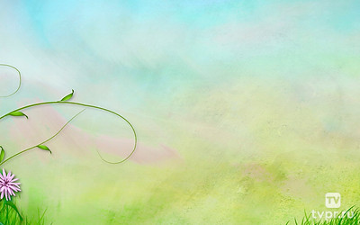 Удивительные судьбы животных