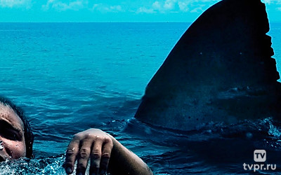 Открытое море: Новые жертвы