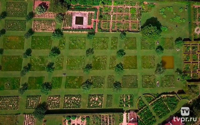 Садовый дизайн: когда природа встречается с искусством