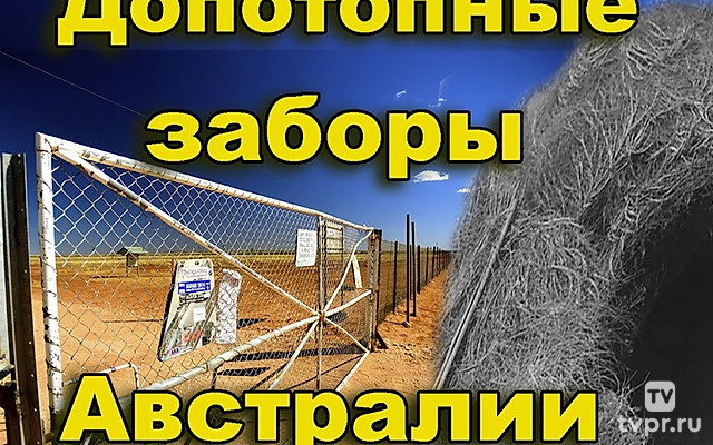 Допотопные заборы Австралии