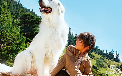 Белль и Себастьян: Приключения продолжаются