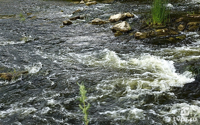 Исток реки Южеме