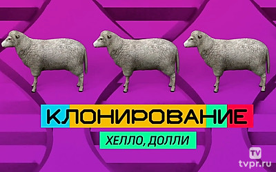 Клонирование. Хелло, Долли