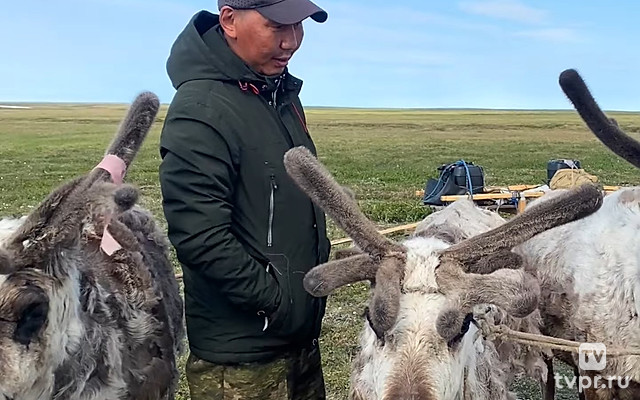 Аргиш - Павел Макаров