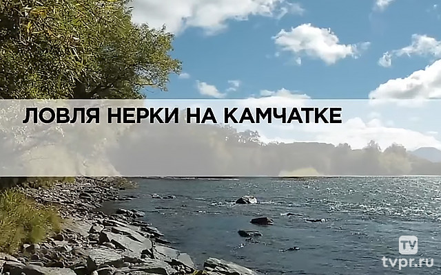 Ловля нерки на Камчатке