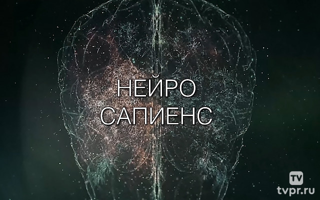 Нейро Сапиенс
