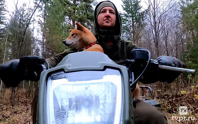 Дом лесника