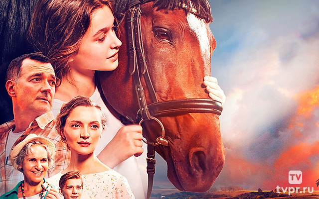 Мой любимый чемпион