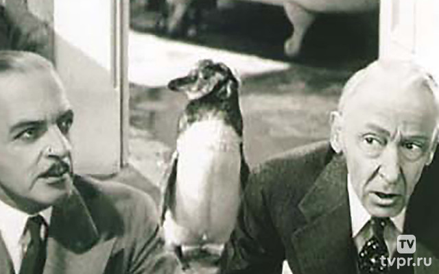 Фабрика грёз