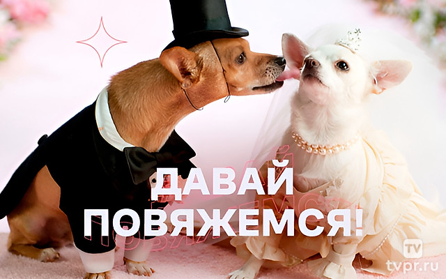 Давай повяжемся!