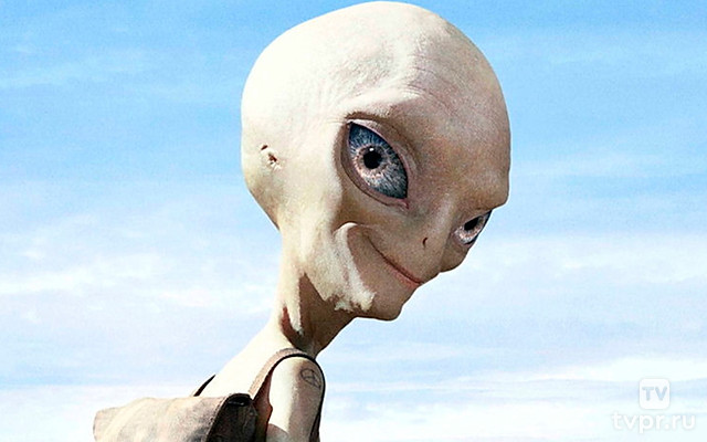 Пол: Секретный материальчик