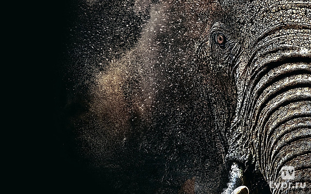 Спасти планету