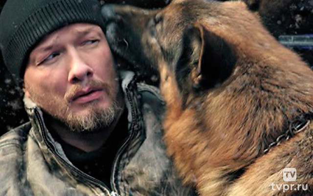 Новогодний пёс