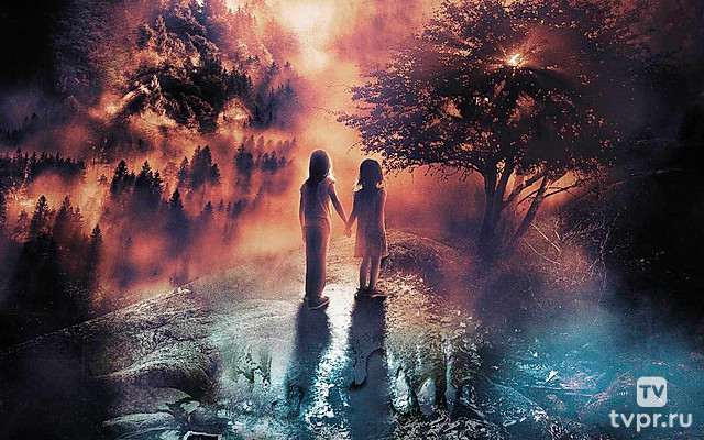 Лес самоубийц