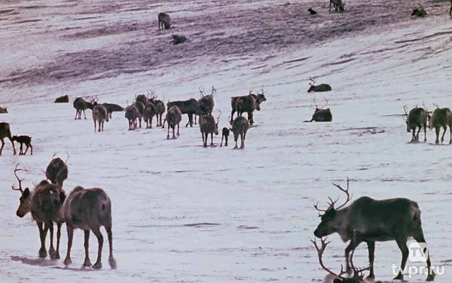Земля предков