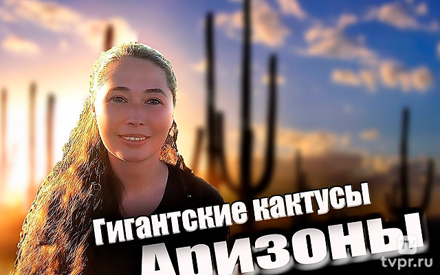 Аризона. В краю гигантских кактусов - Екатерина Давыдова