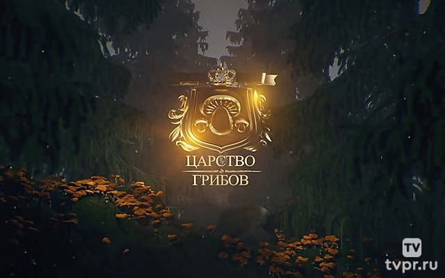 Царство грибов