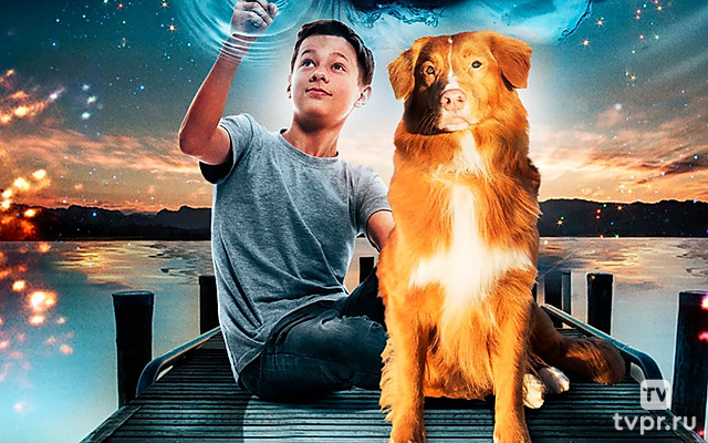 Моя собака – космический путешественник