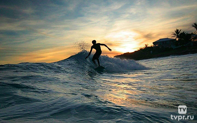 Команда Бонди