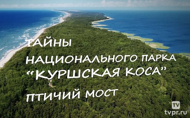 Тайны национального парка «Куршская коса»
