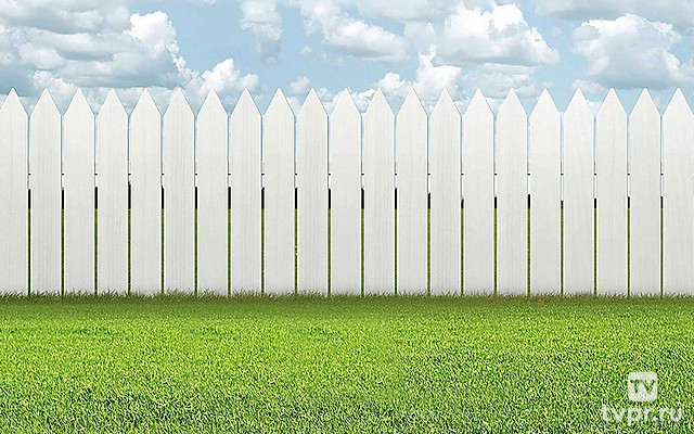 Резня в саду