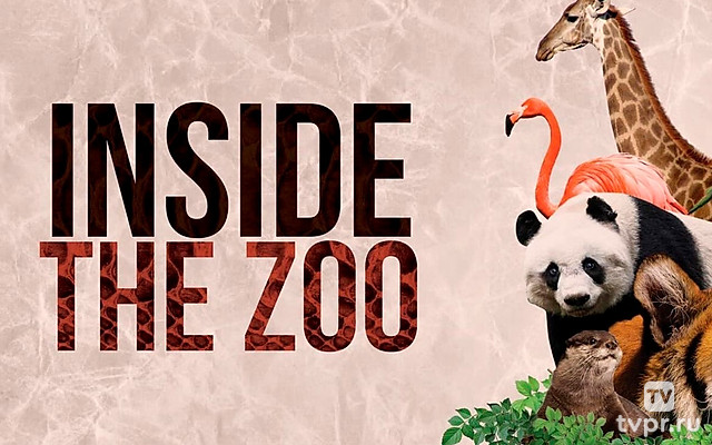 Тайная жизнь зоопарка