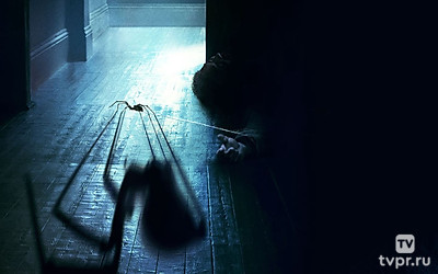 Чёрная вдова. Укус смерти