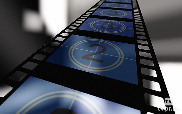 Зима (Взрослые коты)