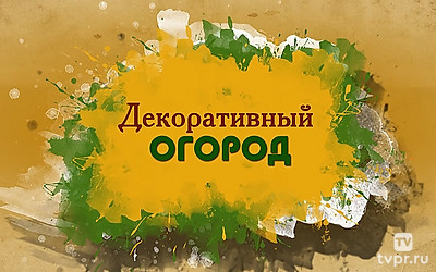 Декоративный огород