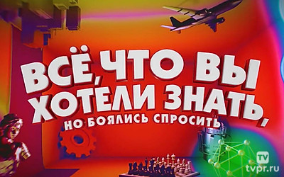 Всё, что вы хотели знать, но боялись спросить