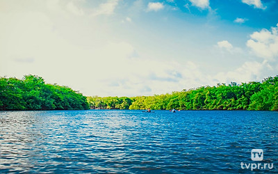 Я, моя река и плот